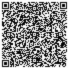 QR code with Esi International Inc contacts