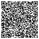 QR code with Bluebird Publishing contacts