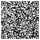 QR code with Pub Hydrocarbon contacts