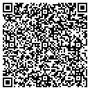 QR code with Q Analysts LLC contacts