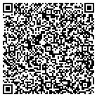 QR code with Public Consulting Group contacts