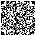 QR code with Catino contacts