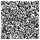 QR code with Plautz Consulting Group contacts