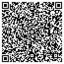 QR code with Pure Fill Solutions contacts
