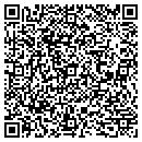 QR code with Precise Technologies contacts