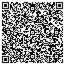 QR code with Progressive Services contacts