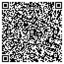 QR code with Public Safety Service contacts