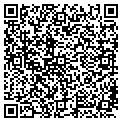 QR code with Scsi contacts