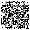 QR code with Proactive Solutions contacts