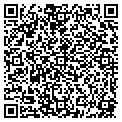 QR code with Njwea contacts