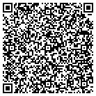 QR code with Public Policy Information Fund Inc (Ppif) contacts