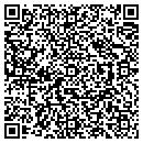 QR code with Biosonic Inc contacts