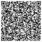 QR code with Publishing Unlimited contacts