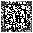 QR code with Bio Surfaces contacts