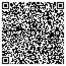QR code with Curtin Consulting Inc contacts