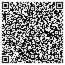 QR code with Pro Docs contacts