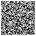 QR code with V Shop contacts
