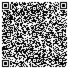 QR code with Primary Instruments Inc contacts