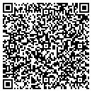 QR code with C F Forensics contacts
