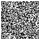 QR code with Cluefinders Inc contacts