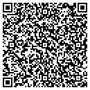 QR code with Precision Discovery contacts