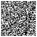 QR code with Psi Forensics contacts