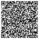 QR code with Care Net of Cadillac contacts