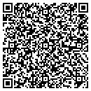 QR code with Professional Dynamics contacts