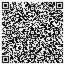 QR code with Project Cornerstone contacts