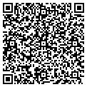 QR code with Olga Bozicevic contacts