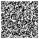 QR code with Puritan Tampa LLC contacts