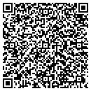 QR code with Spring Valley contacts