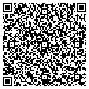 QR code with Chapman Auction Group contacts