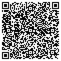QR code with Shells contacts