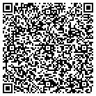 QR code with Professional Village LLC contacts