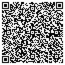 QR code with Castyourhome Com LLC contacts