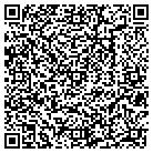QR code with Public Library Systems contacts