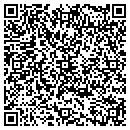 QR code with Pretzel Logic contacts