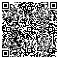 QR code with Palms contacts
