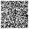 QR code with Shell contacts