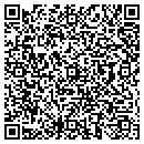 QR code with Pro Docs Inc contacts