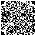 QR code with Tcby contacts