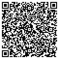QR code with Cortez contacts