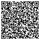 QR code with Premier Audio & Video contacts