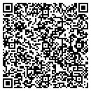 QR code with Precious Views Inc contacts