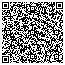 QR code with Pro Source One contacts