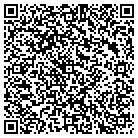 QR code with Public Safety Radio Data contacts