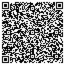 QR code with Punkrockmusic Com Inc contacts