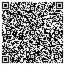 QR code with BabySport.com contacts