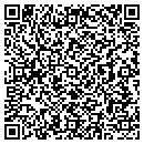 QR code with Punkidoodles contacts
